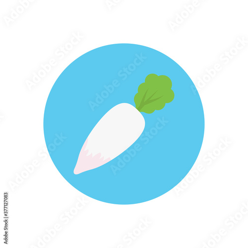 vegetable