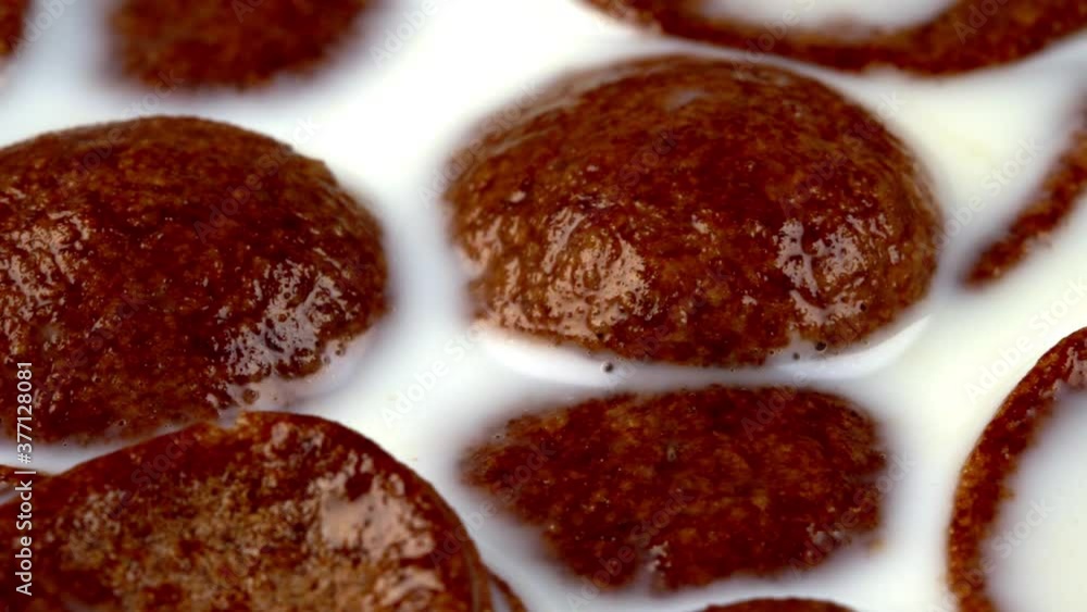 Macro view of chocolate cereals in milk. Macro view of chocolate cereals in milk.