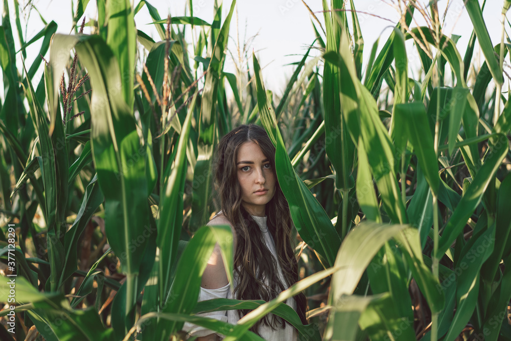 A young girl in a cornfield. Trend - closed girl face with corn leaves. Unity with nature. A young girl in a cornfield. Trend - closed girl face with corn leaves. Unity with nature.