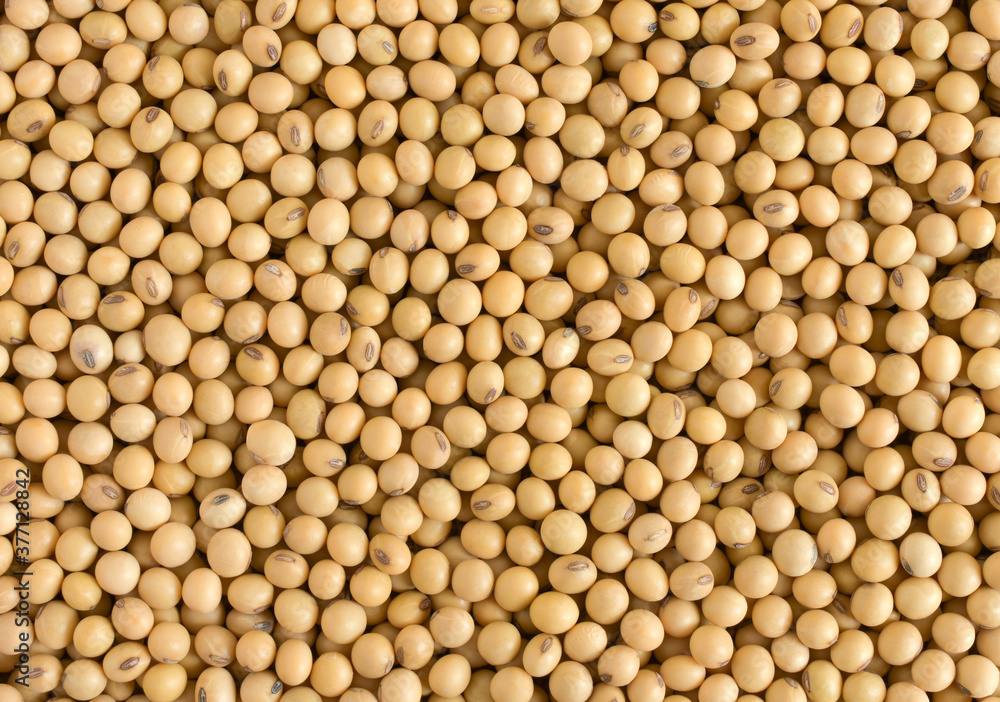 Soybeans background , background pattern, agricultural products,Top view. Soybeans background , background pattern, agricultural products,Top view.