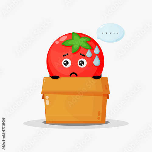 Cute tomato mascot in the box