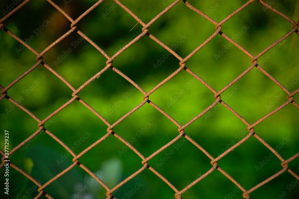 Fototapeta premium fence netting chain-link in focus on a background of greenery
