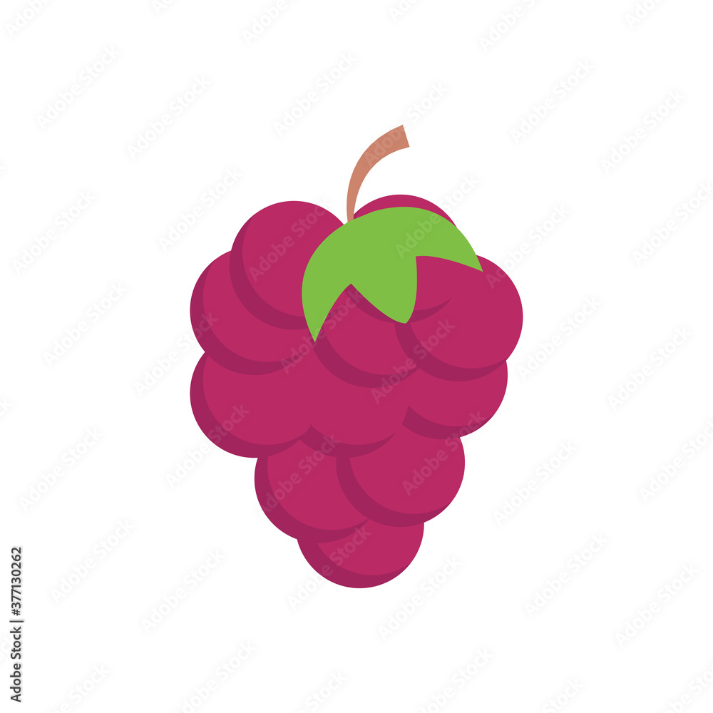 fruit fruit