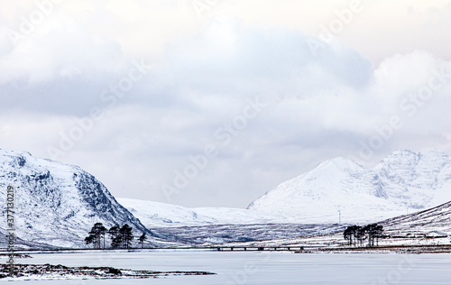 A freezing cold snow landscape near Ullapool in Scotland. The eather was icy and the beauty extraordinary.