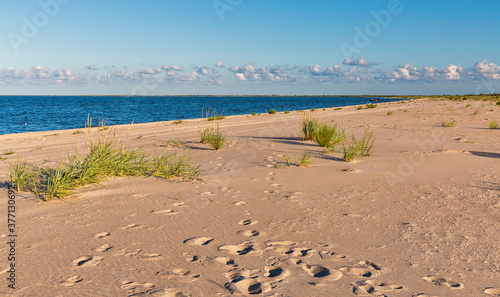 Wild beach landscape near Prymorske  Ukraine.