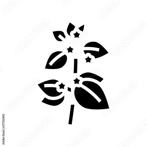 melissa herbal aromatherapy glyph icon vector. melissa herbal aromatherapy sign. isolated contour symbol black illustration