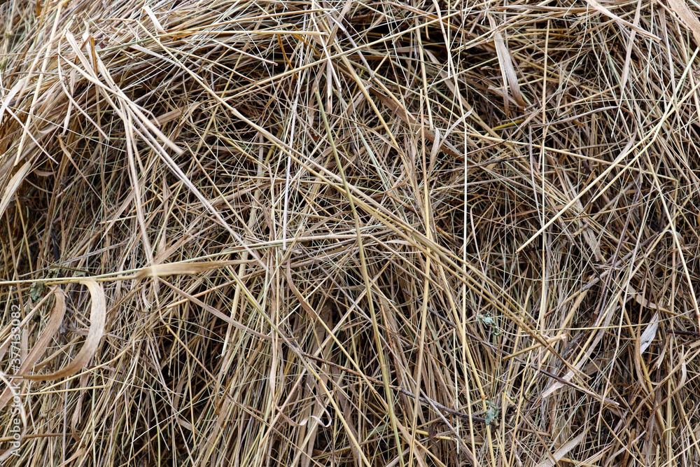 Beautiful hay texture. Abstract dry grass background Beautiful hay texture. Abstract dry grass background