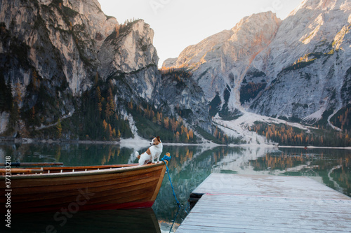 dog stand on a wooden pier. Mountain Lake Braies. boat station. landscape with a pet