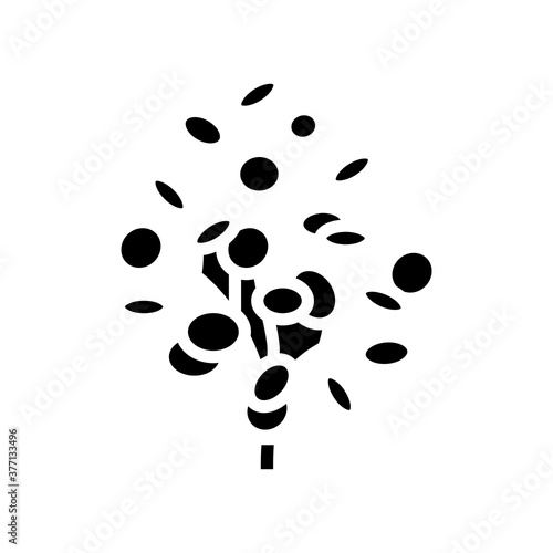 eucalyptus aromatherapy glyph icon vector. eucalyptus aromatherapy sign. isolated contour symbol black illustration
