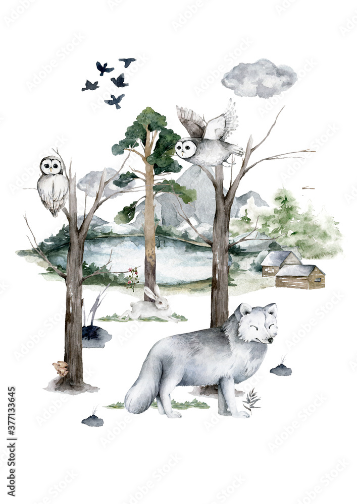 Hand drawn watercolor realistic white wolf. Wildlife animal illustration in forest