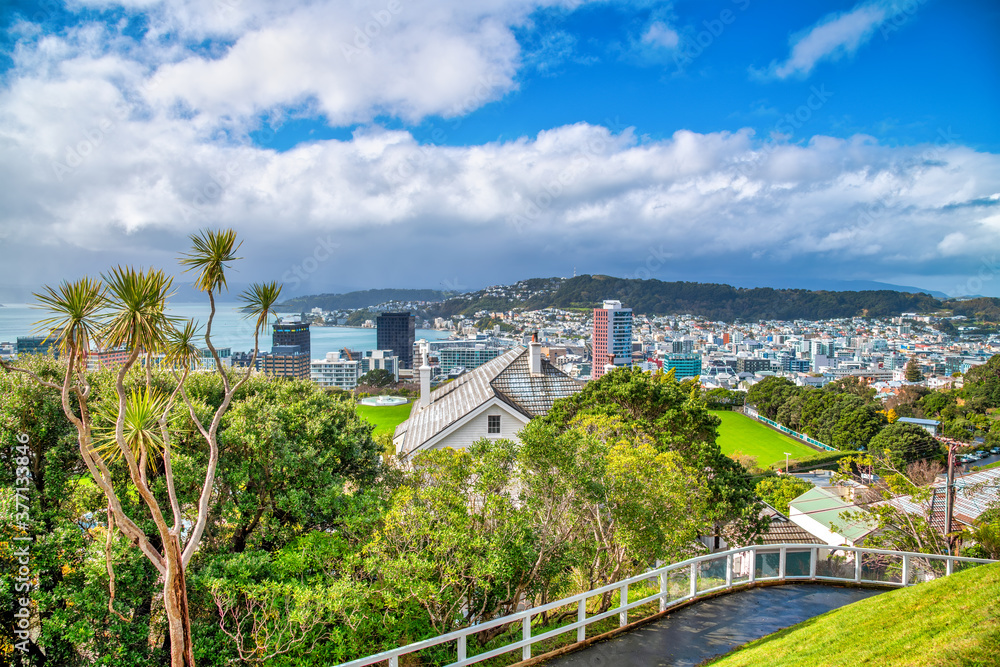 Wellington aerial skyline from city hille on a sunny morning, New Zealand