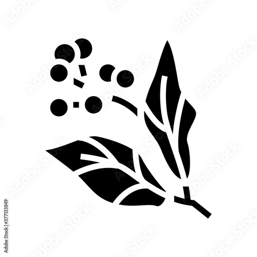 camphor aromatherapy glyph icon vector. camphor aromatherapy sign. isolated contour symbol black illustration