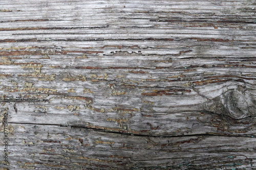 Old wooden boards texture. Beautiful wooden background