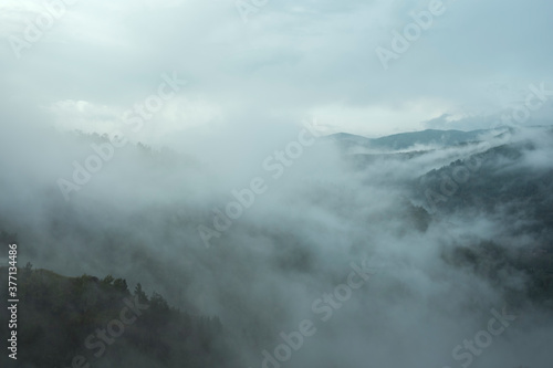 Dense fog in a mountain river valley. Sunrise. Green grass and trees on the hills.