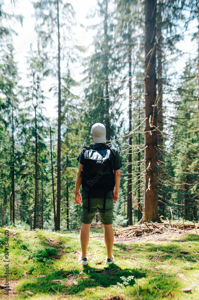 Back of a young male tourist in casual clothes and with a backpack stands in the woods and looks up. Guy is resting on a mountain hike, rear view. Vertical