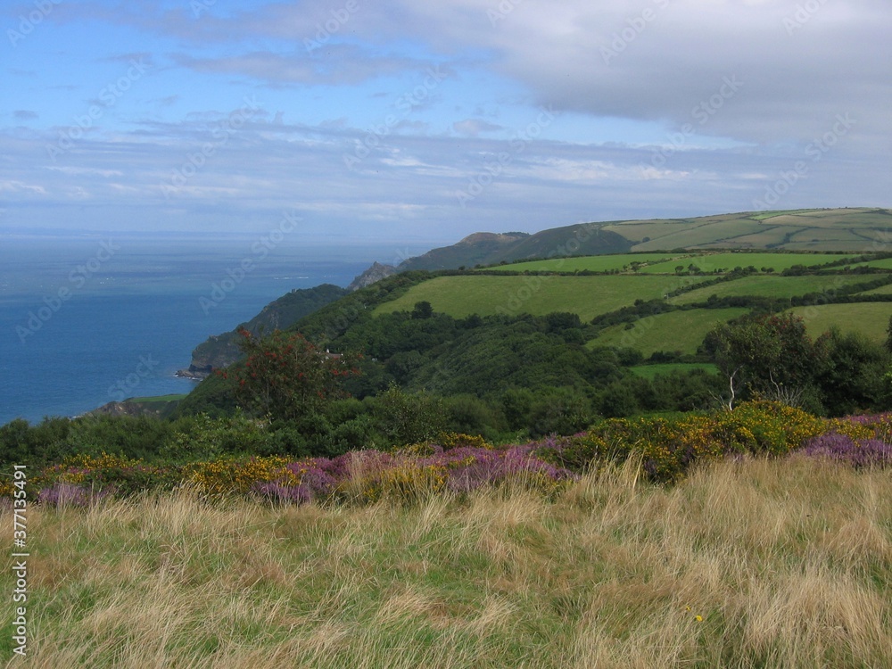 Naklejka premium view from the top of the hill