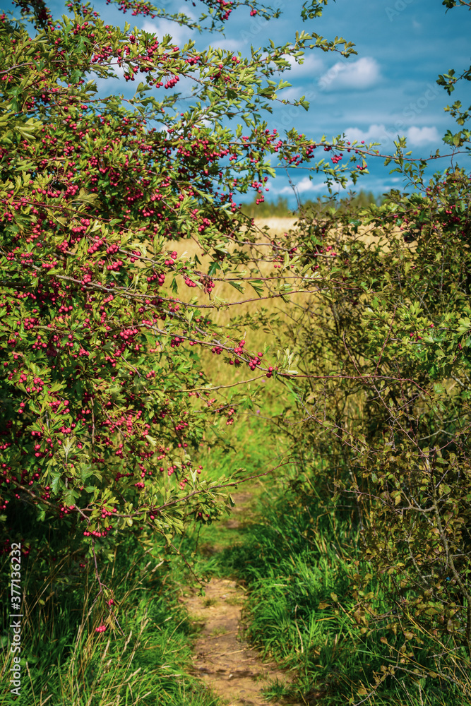 Quiet location for an outdoor walk or hike in british countryside Quiet location for an outdoor walk or hike in british countryside