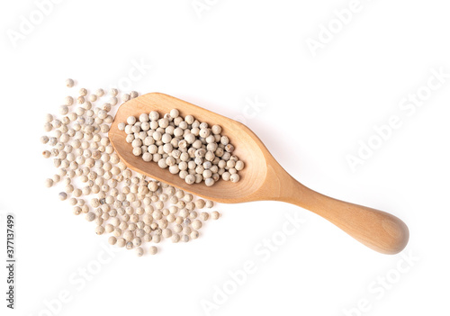 Grain white pepper on white background