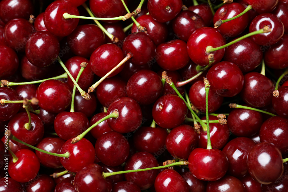 Ripe juicy cherries as background, closeup view Ripe juicy cherries as background, closeup view