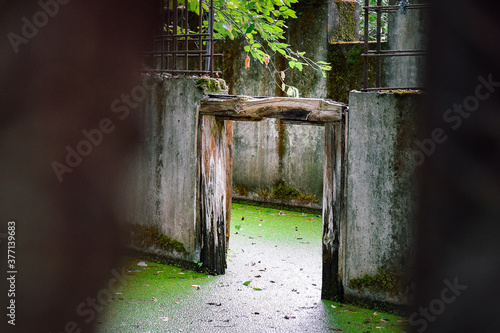 Kellertüre im Wasser