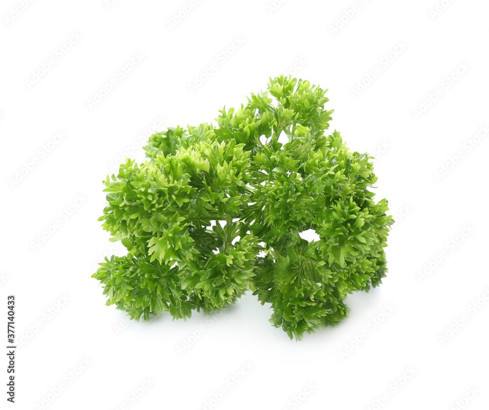Fresh green curly parsley on white background Fresh green curly parsley on white background