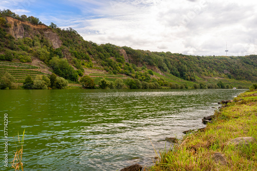 The Moselle river in western Germany near the mouth of the river in Koblenz in the background of hills and trees, the water flows calmly.