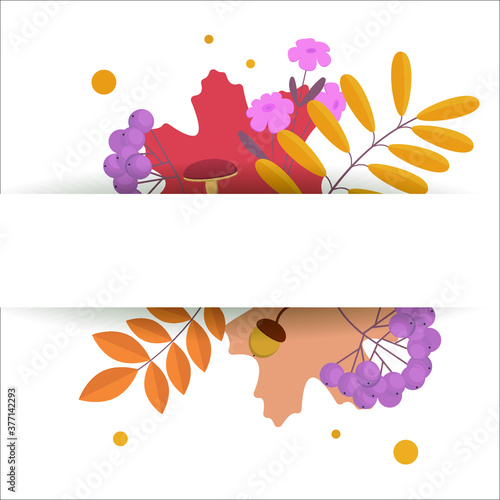 Fototapeta Naklejka Na Ścianę i Meble -  Autumnal background with empty space, blank space Vector illustration of Autumn oak and maple leaves. vertical frame from orange ,red fall leaves. Blank space  for text. 