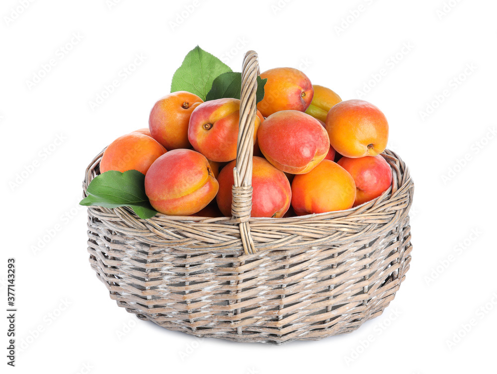 Delicious ripe apricots in wicker basket isolated on white Delicious ripe apricots in wicker basket isolated on white