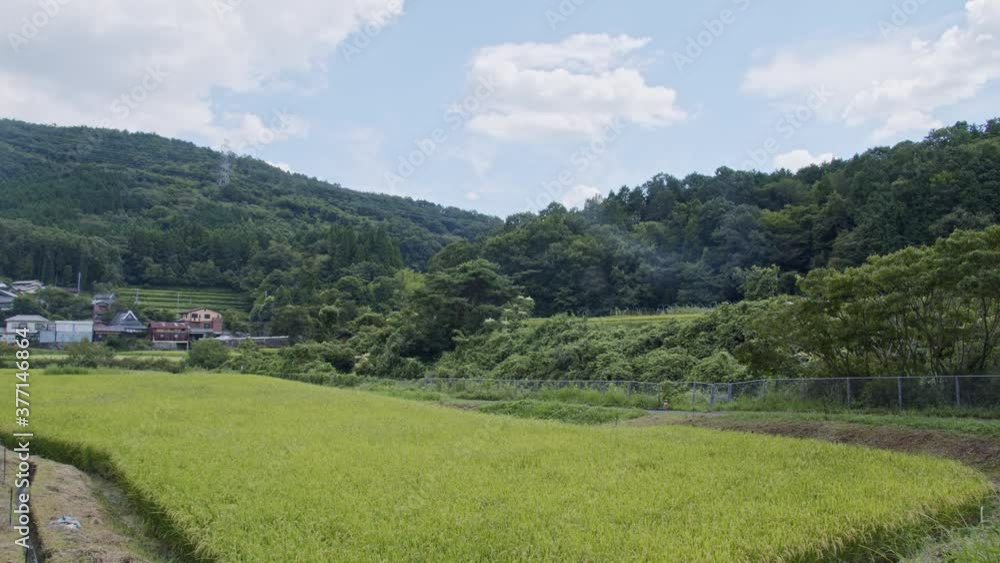 A view of a Japanese village on a sunny day in the middle of summer A view of a Japanese village on a sunny day in the middle of summer