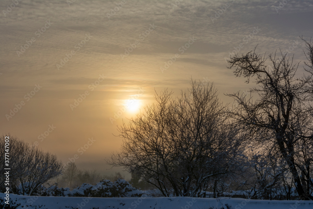 Dark Sunrise in the Snow Dark Sunrise in the Snow