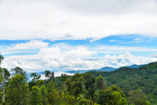 Tree hill Blue sky and clouds