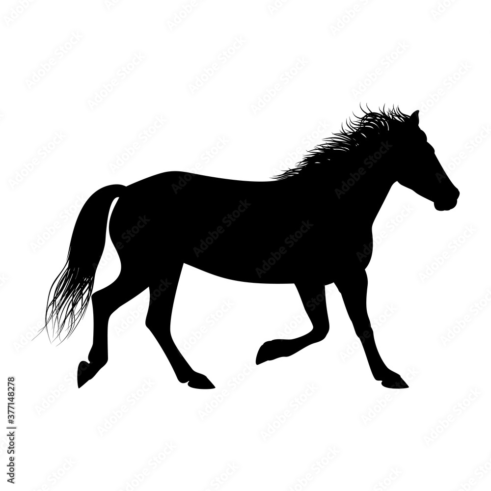 The black silhouette of one running horse is isolated on the white background.
