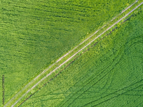 Aerial drone view. Road through agricultural fields.