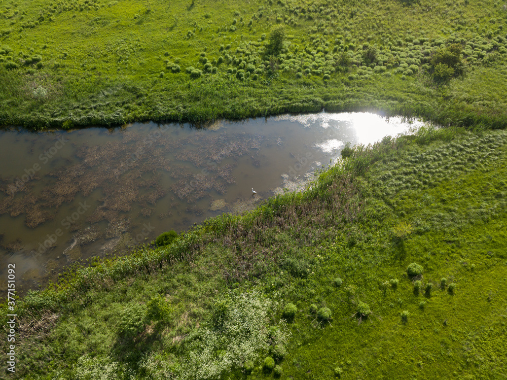 Aerial drone view. Country lake. Green grass on the shore.