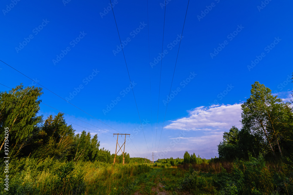 high voltage power line in the forest on a summer day