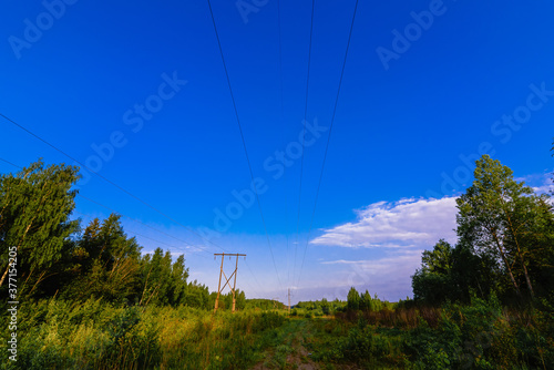 high voltage power line in the forest on a summer day