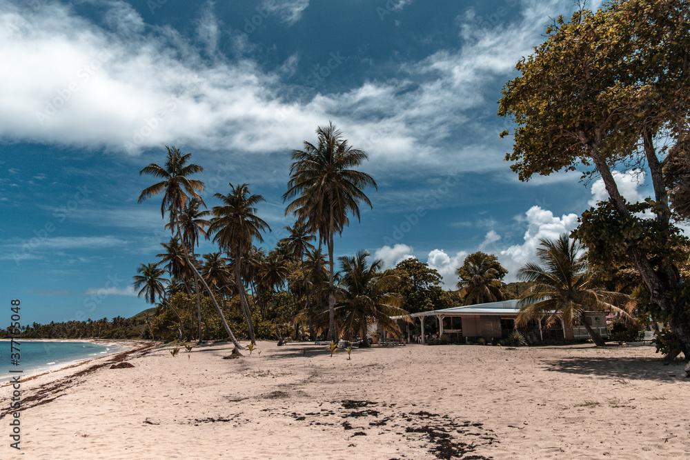 An empty heavenly beach with palm trees, white sand and turquoise blue water in marie galante, Guadeloupe An empty heavenly beach with palm trees, white sand and turquoise blue water in marie galante, Guadeloupe