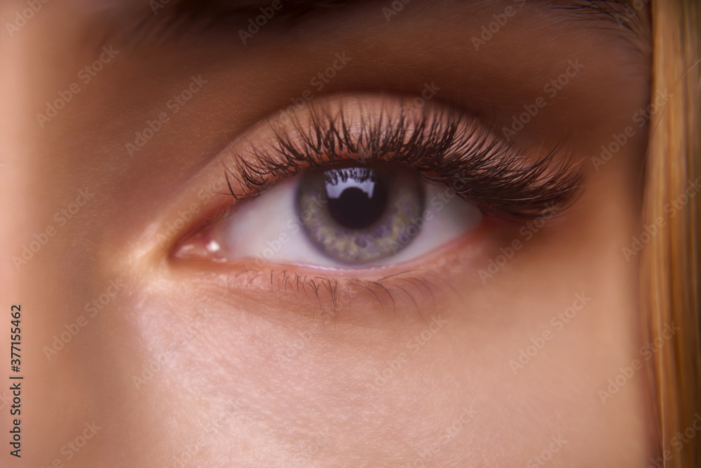 Eyelash Extension Procedure. Woman Eye with Long Eyelashes. Close up, selective focus.