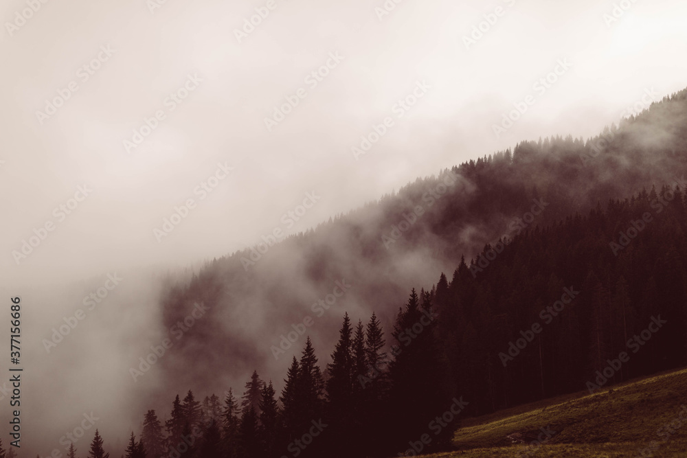 Nebelstimmung Herbst Berge