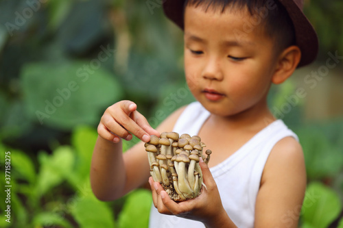 A mushroom in the hands of an excited Asian boy.The concept of learning outside the classroom © boonchok