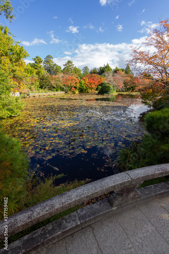 Ryoan-ji temple and surrounding gardens in Kyoto (Japan)