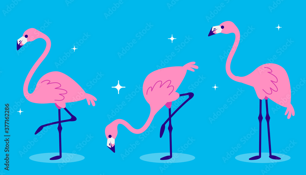 Obraz premium Vector set of illustration of beautiful pink flamingo in different pose with shadow on night blue background with star.
