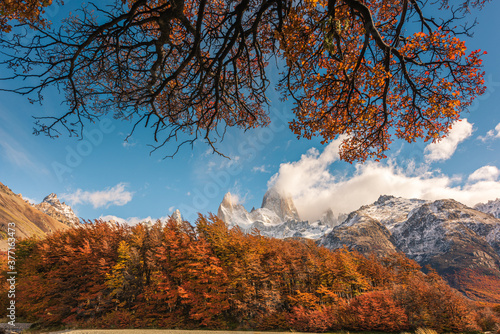 Golden autumn scenery, beautiful snow-capped mountains and blue sky and white clouds. Travel in Argentina.