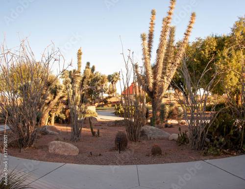 Lorenzi Park, Las Vegas, NV.