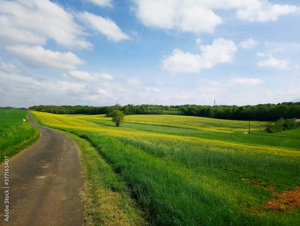 road in the countryside