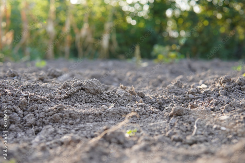 soil soil