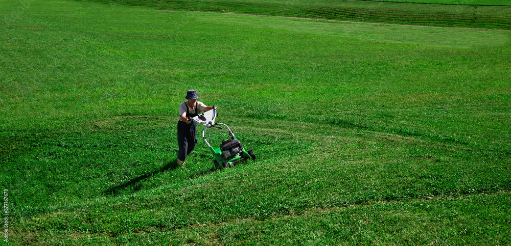 Lawn Mower. The worker cuts the lawn.