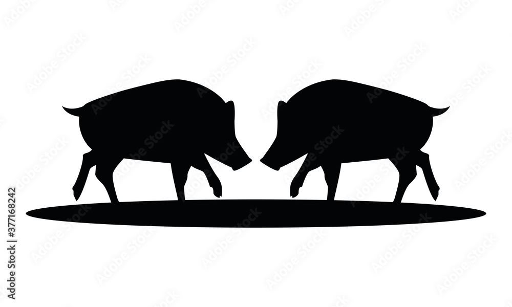 Fototapeta premium wild pigs animals nature silhouettes