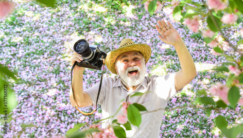 travel concept. male photographer enjoy cherry blossom. travel and walking in cherry park. hobby at retirement. tourism and holiday. traveler camera man under sakura bloom garden