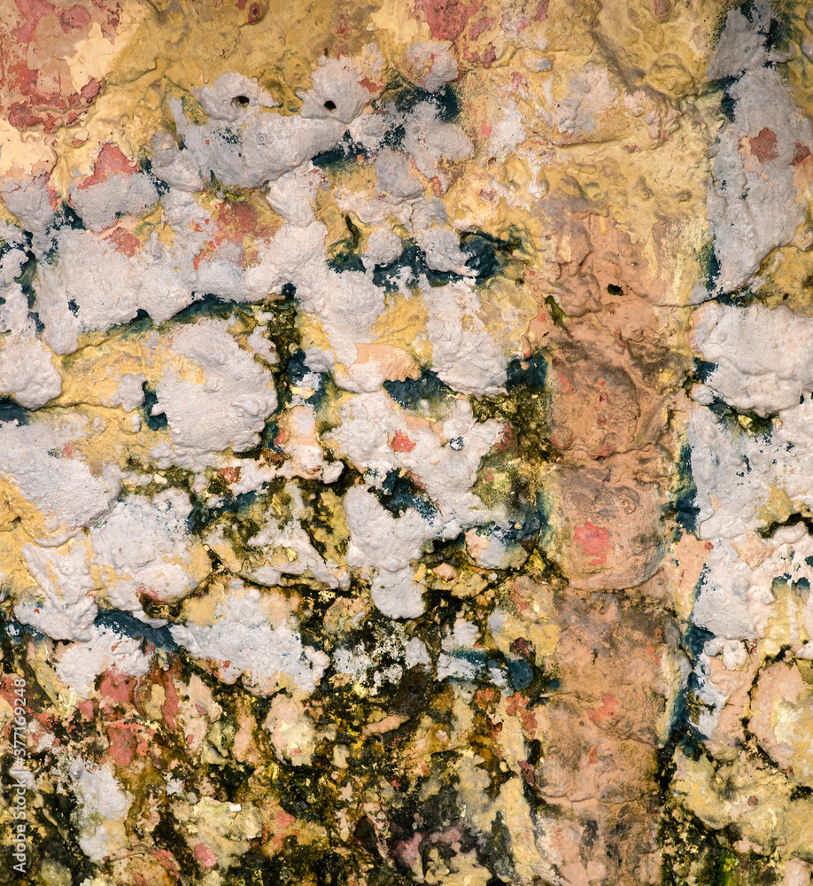 Naklejka premium old wall with mold and stains of paint